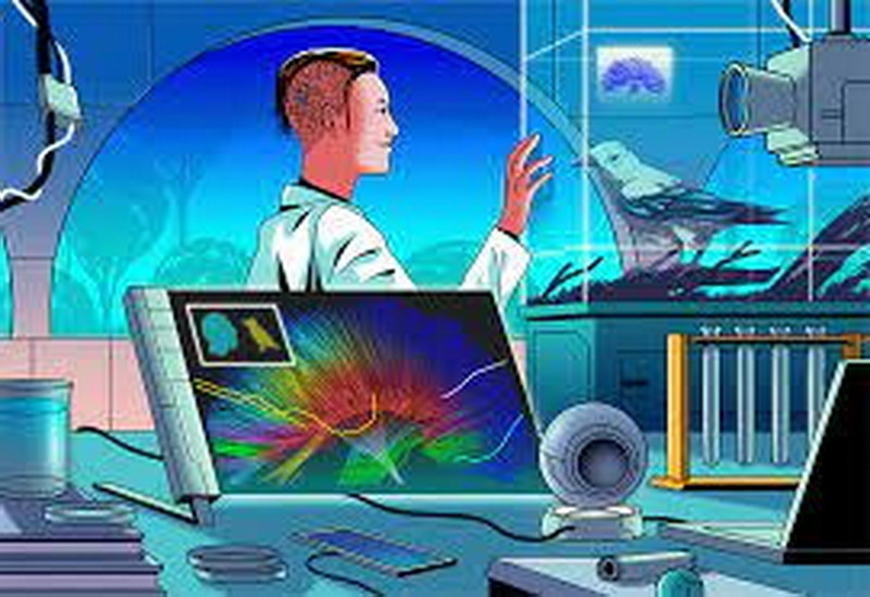 В Череповец на фестиваль ледяных скульптур привезут из Тарноги 200 блоков льда